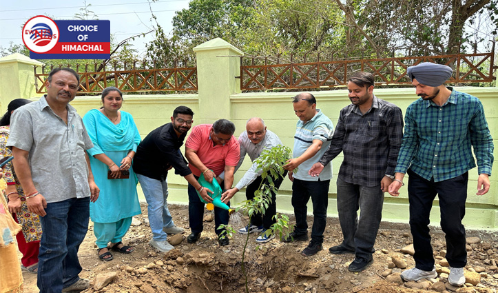 सीएचसी हरिपुर में मनाया विश्व पर्यावरण दिवस, परिसर में किया पौधरोपण