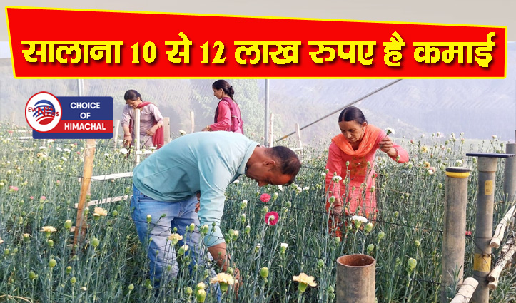 आईटी की नौकरी छोड़ भाग सिंह ने चुना पुष्प उत्पादन, अब कमा रहे लाखों रुपए