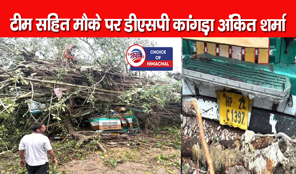 कांगड़ा : तूफान का कहर, बड़ोह में ईंटों के ट्रक पर गिरा बरगद का बड़ा पेड़, दो लोग फंसे
