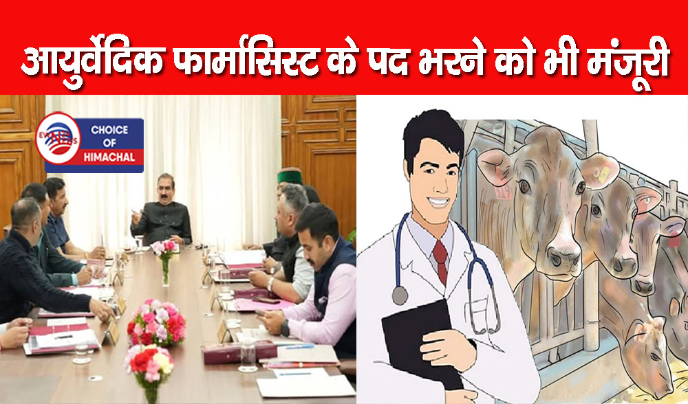 हिमाचल कैबिनेट : पशु मित्र के भरे जाएंगे 1000 पद, ऐसी डिस्पेंसरी में भरने की योजना