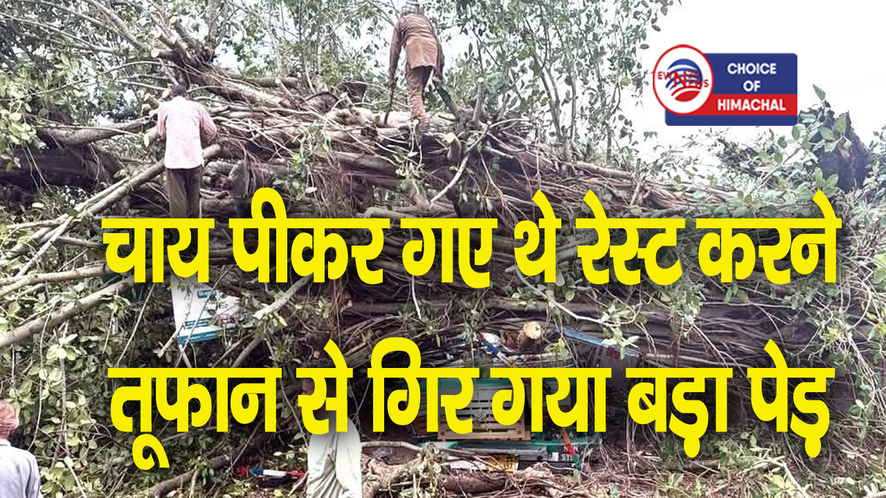 बड़ोह ट्रक हादसा : जागरण के चलते बची मुख्य चालक की जान, पहले ही गया था उतर