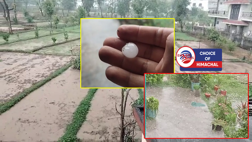 कांगड़ा में अचानक बिगड़ा मौसम, बारिश के साथ जमकर ओलावृष्टि