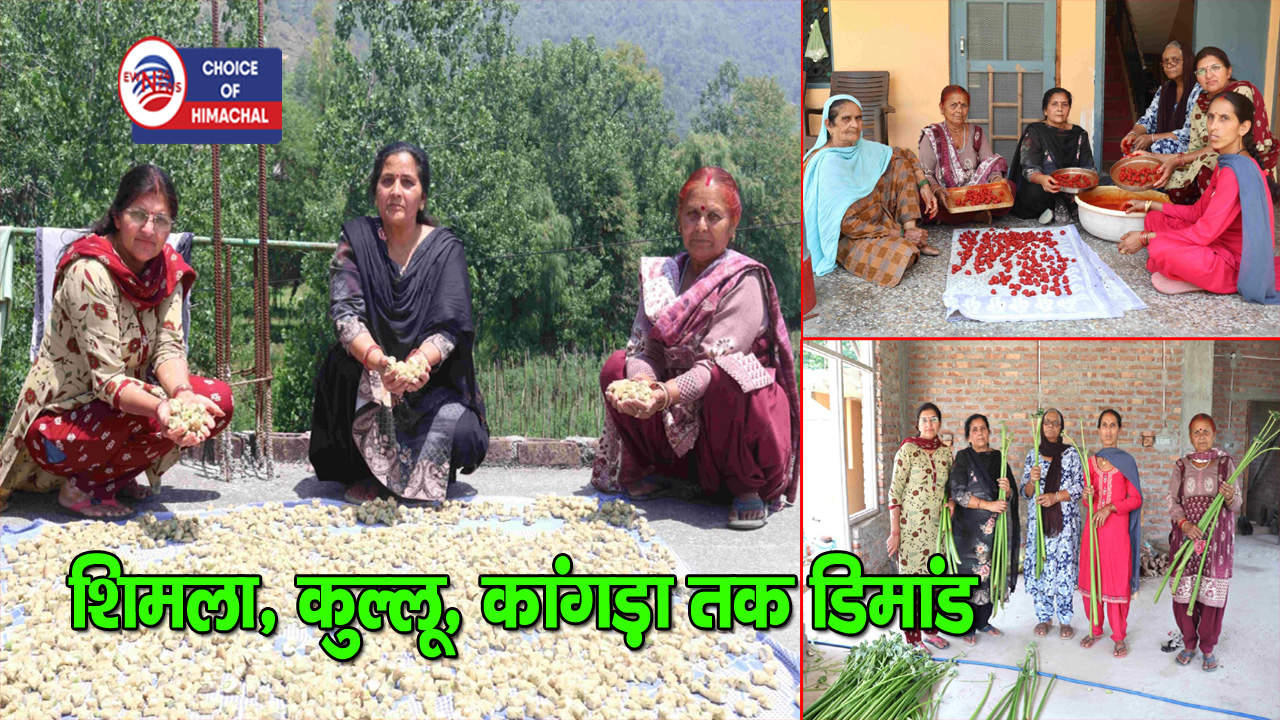 अगर स्वादिष्ट बदाणा और सेपू बड़ी है खानी, मंडी के सिहन से ही मंगवानी