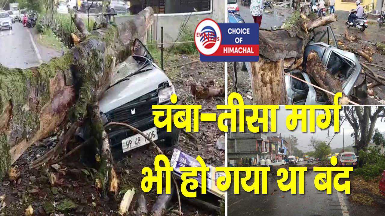 चंबा के सरोल में तूफान से गिरा पेड़, चपेट में आई कार-बत्ती भी गुल