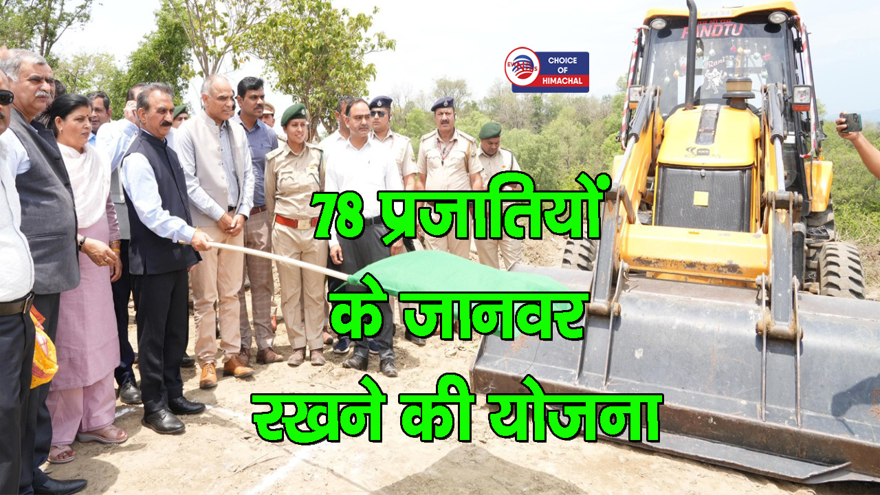 बनखंडी चिड़ियाघर में एशियाई शेर के अलावा रखे जाएंगे मगरमच्छ और घड़ियाल