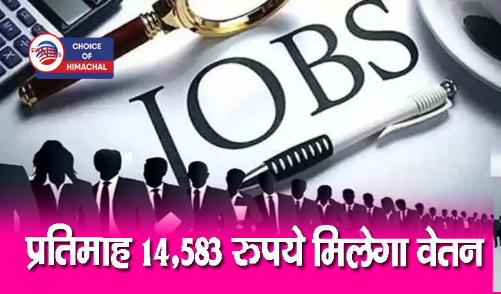 नादौन में ट्रेनी के 15 पदों के लिए होंगे साक्षात्कार, डिटेल में जानें