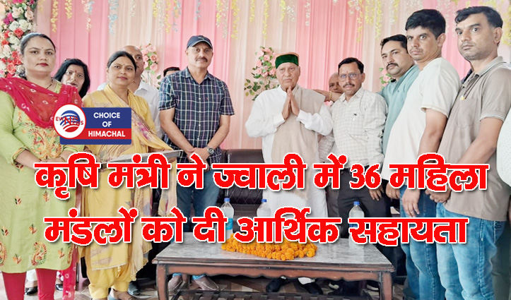 हल्दी की खेती करें किसान, 90 रुपए प्रति किलो एमएसपी दे रही सरकार