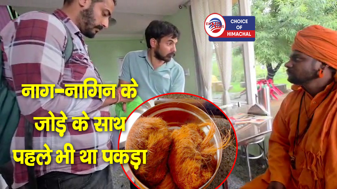 धर्मशाला : गीदड़ सिंगी लेकर घूम रहा था ढोंगी बाबा, वन विभाग ने पकड़ा