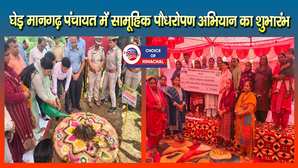 विधायक कमलेश ठाकुर बोलीं : हिमाचल में प्राकृतिक आपदाओं को कम करने का प्रभावी उपाय वृक्षारोपण