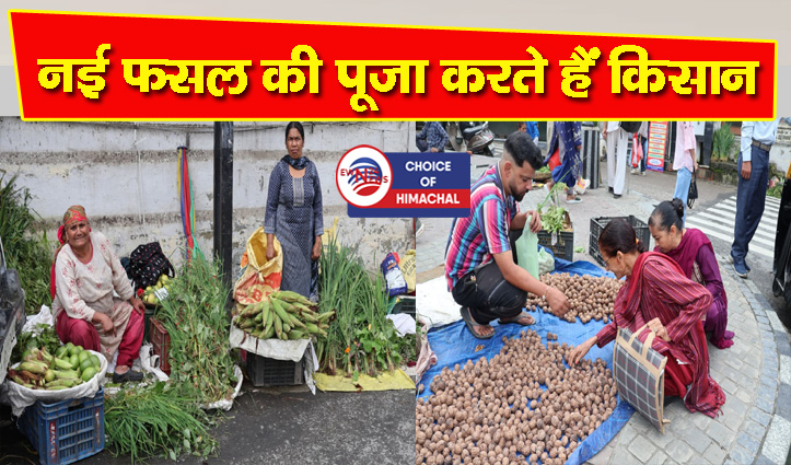 सैर पर्व नई फसल के आगमन का प्रतीक : पेठू पूजन से लेकर अखरोट खेलने की परंपरा