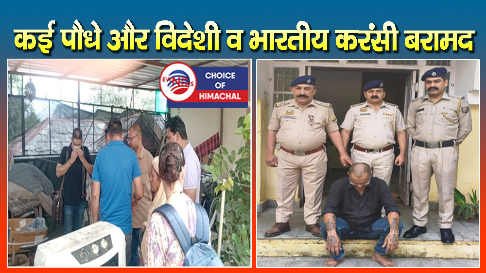 कांगड़ा : रिहायशी मकान में कर रहा था हाइब्रिड चरस की खेती, आरोपी गिरफ्तार