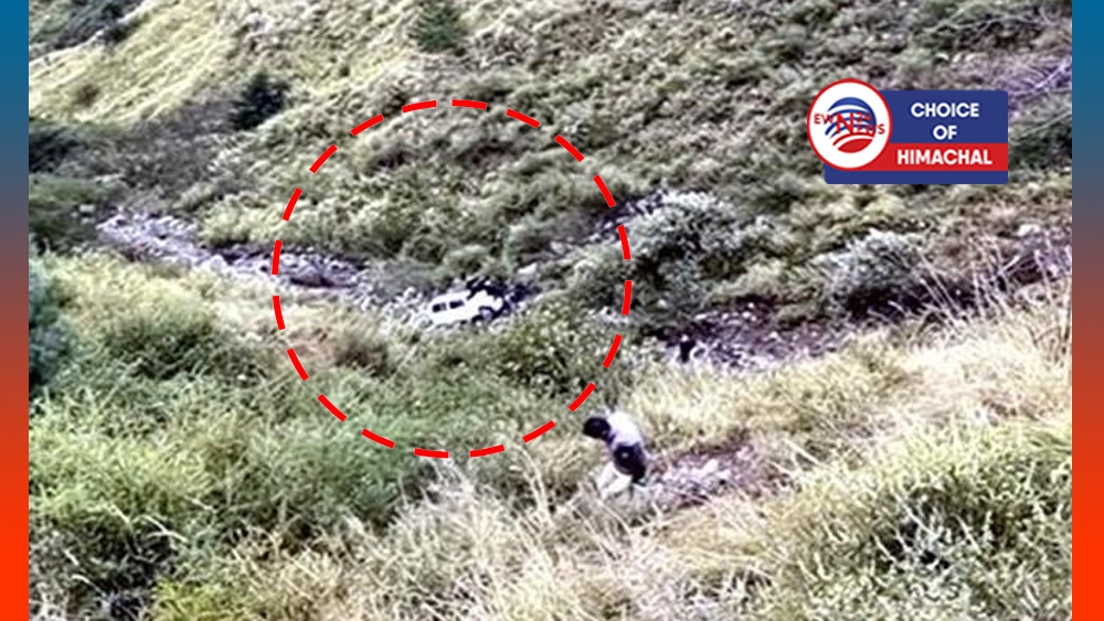 खाबल-रोहड़ू मार्ग पर गहरी खाई में गिरी बोलेरो, दो युवकों ने मौके पर तोड़ा दम