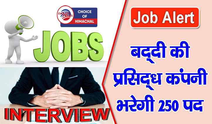 बीटेक और ITI युवाओं के लिए रोजगार का मौका : हमीरपुर में 10 नवंबर को इंटरव्यू