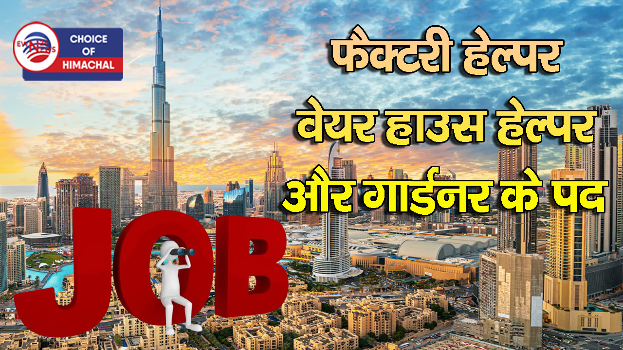 दुबई में नौकरी का सुनहरा मौका : कांगड़ा में 11 नवंबर को होंगे इंटरव्यू