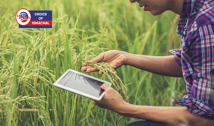 कृषि विभाग में प्राइवेट सर्वेयर बनने का सुनहरा मौका : आवेदन करने के लिए पढ़ें डिटेल