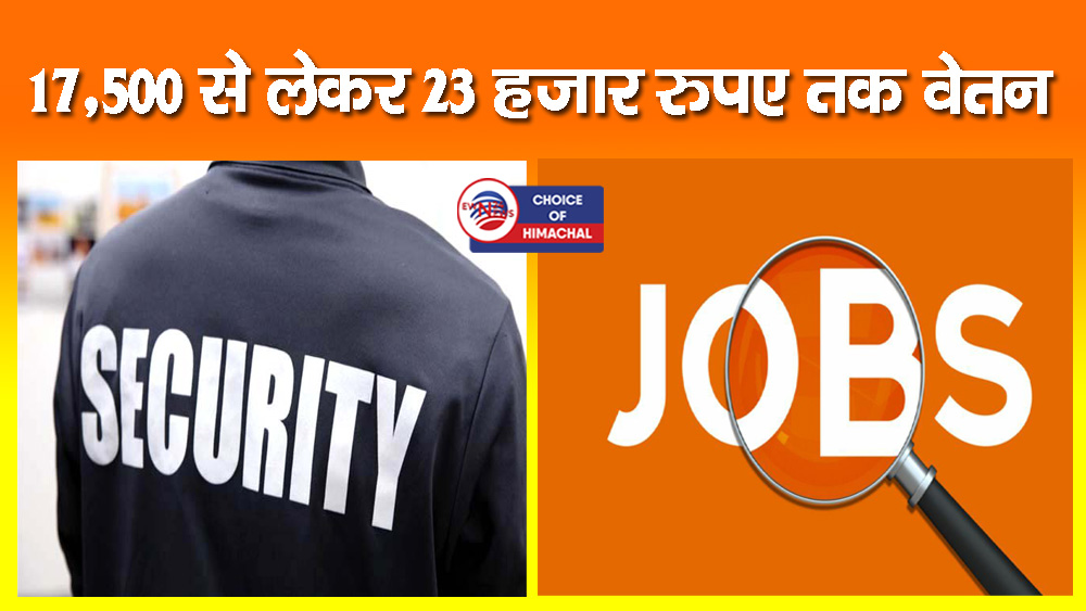 Job Alert : नौकरी चाहिए तो 3 दिसंबर को पहुंचें हमीरपुर, यहां होने जा रहे इंटरव्यू