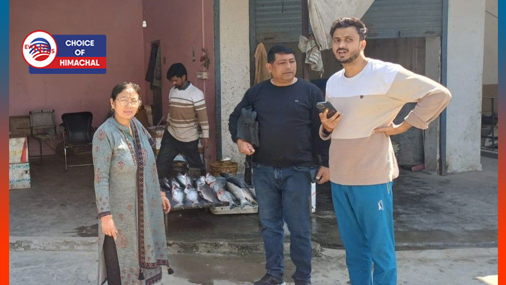 इम्पोर्ट परमिट के बिना मछली की बिक्री पर जुर्माना, 4 मामलों में वसूला जुर्माना