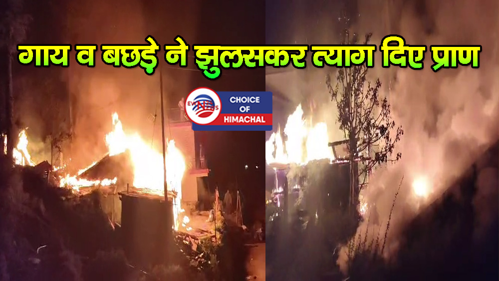 पझौता : टपरोली में मनोज ठाकुर के घर में लगी आग, मकान जलकर राख