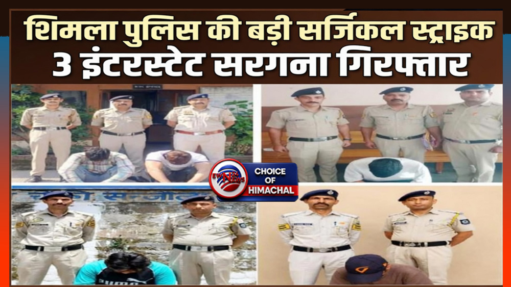 शिमला पुलिस की बड़ी सर्जिकल स्ट्राइक : बाहरी राज्यों से चिट्टा सप्लाई करने वाले 3 इंटरस्टेट सरगना गिरफ्तार