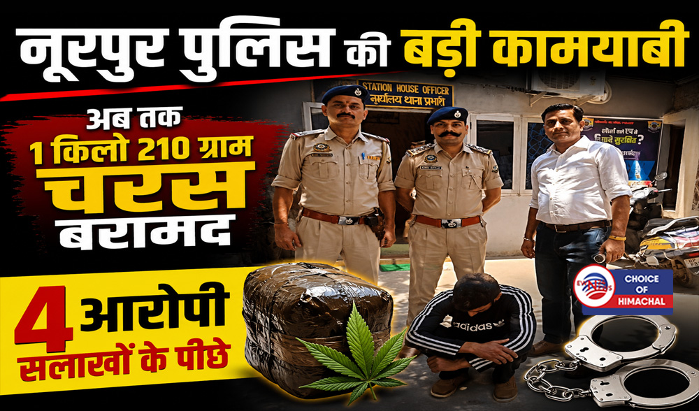 1 किलो 210 ग्राम चरस तस्करी मामला : 'बैकवर्ड लिंकेज' से चौथी गिरफ्तारी, चंबा निवासी दबोचा