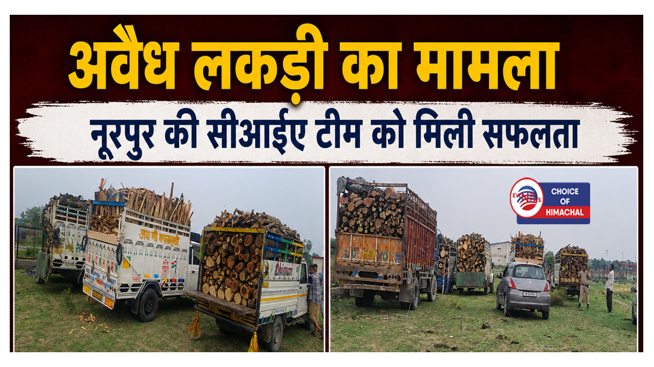 फतेहपुर में अवैध रूप से लकड़ी ले जाते सात वाहन पकड़े, 6 पिकअप और एक कैंटर शामिल