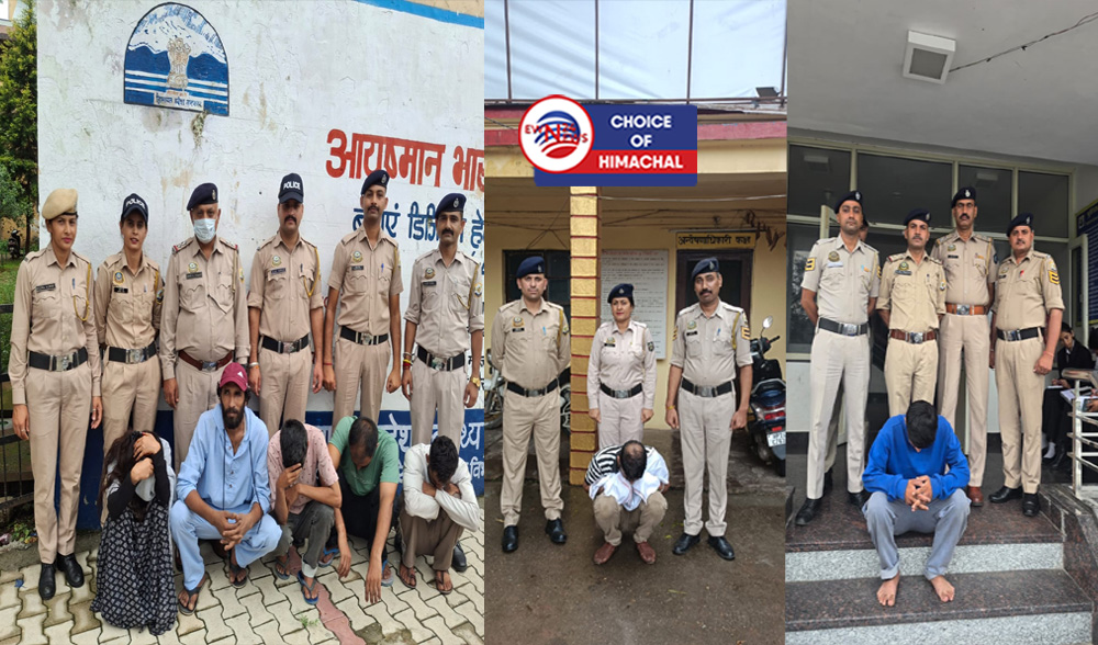 नशे के खिलाफ बिलासपुर पुलिस बड़ा शिकंजा : दो दिन में चिट्टे के साथ महिला समेत 7 तस्कर गिरफ्तार