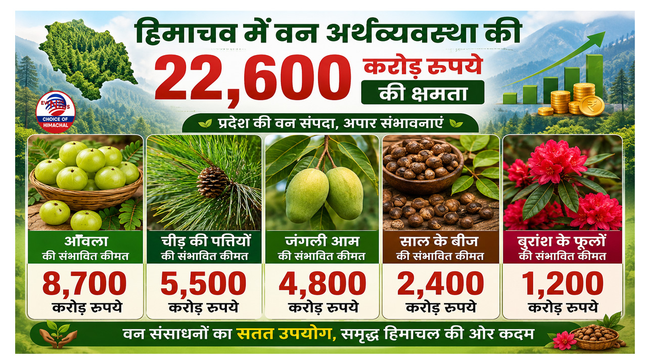 हिमाचल वन विभाग और आईएसबी के भारती इंस्टीट्यूट के बीच समझौता, सीएम सुक्खू भी रहे मौजूद