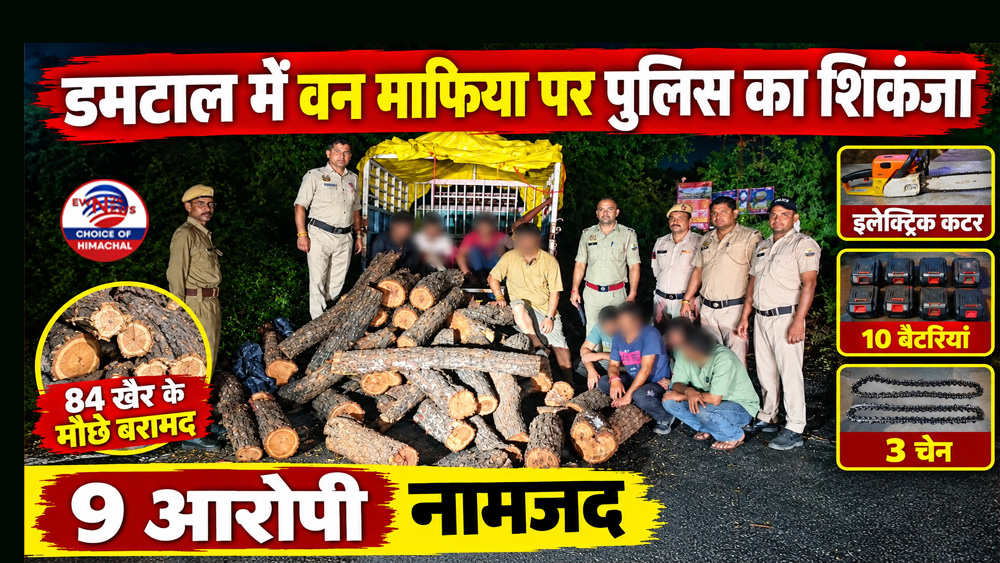 डमटाल में वन माफिया पर पुलिस का शिकंजा : 84 खैर के मौछे बरामद-9 आरोपी नामजद