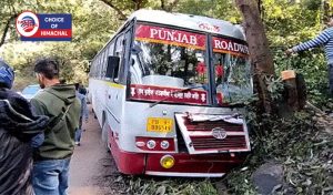 कांगड़ा : चंडीगढ़ जा रही बस रानीताल के पास पेड़ से टकराई