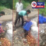शिमला : सड़कें बंद-सड़ गए सेब, बागवानों ने नाले में बहाए, देखें वीडियो