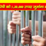 मंडी : चरस रखने और खरीद फरोख्त मामले के चार दोषियों को 12-12 साल की कैद