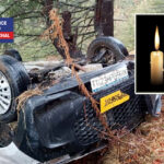 शिमला : समरकोट के पास ढांक से लुढ़की कार, चालक ने मौके पर तोड़ा दम