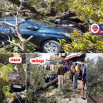 हिमाचल : तूफान से गिरे पेड़, गाड़ियां क्षतिग्रस्त- भोरंज में चपेट में आए तीन मकान