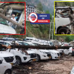 हिमाचल में तूफान का कहर : पेड़ गिरे, दबी गाड़ियां-सड़कों पर थमे पहिए