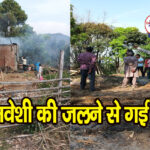 हरिपुर : छब्बड़ में गौशाला में लगी आग, आंगनबाड़ी सहायिका ने उठता देखा धुआं